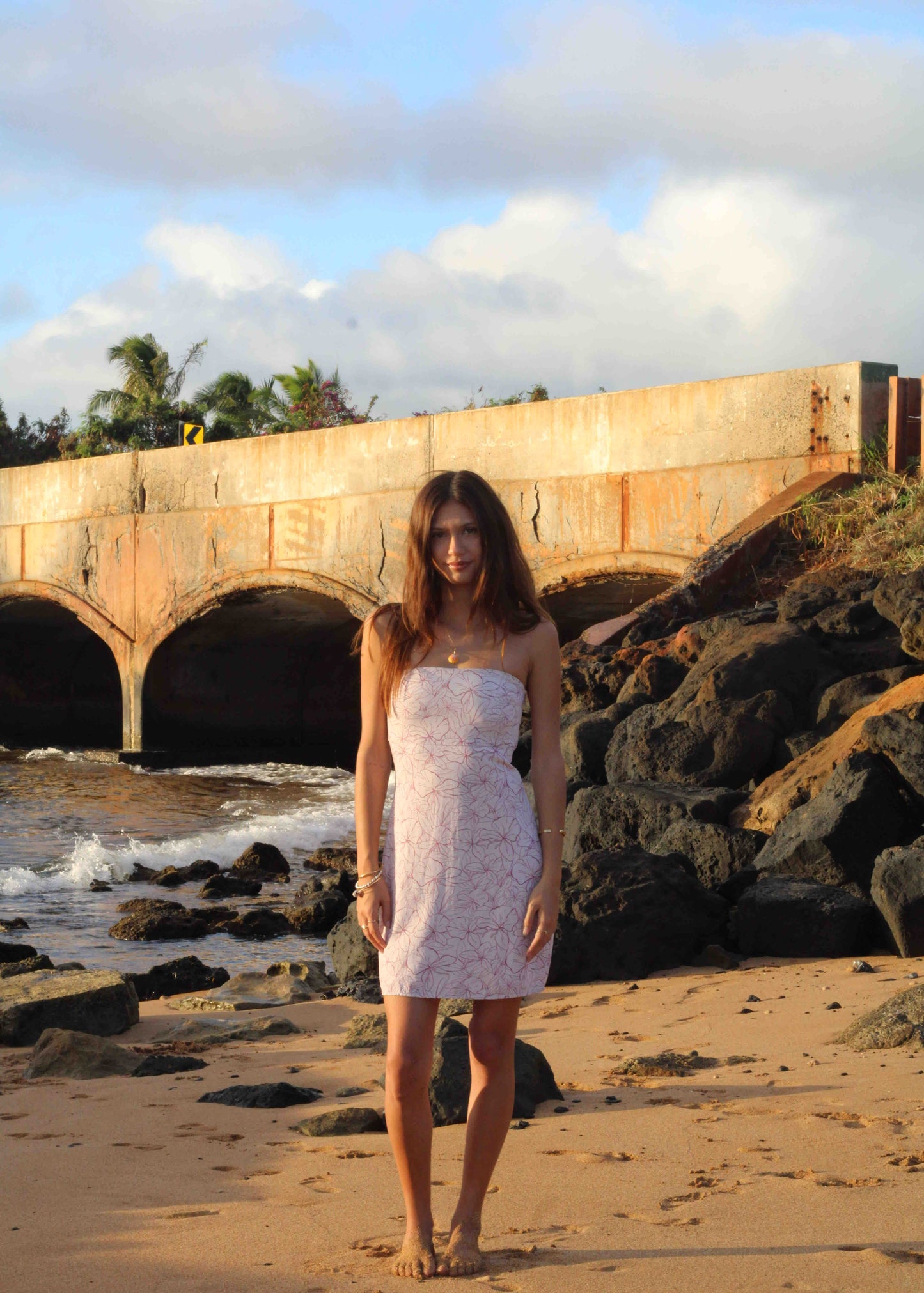 Ginger Strapless Dress